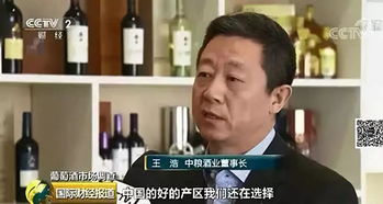 本土特色与大单品 国产葡萄酒在销售压力下的突围路径探索