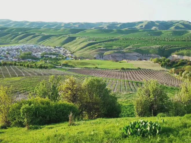 斩获2024 CMB 10枚大奖，丝路酒庄彰显国产葡萄酒强劲发展势头