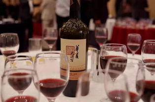 华夏新国风 飘香东瀛 长城葡萄酒亮相日本大阪