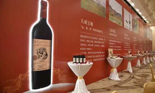 华夏九二 书写新时代国产红酒经典的深圳启航